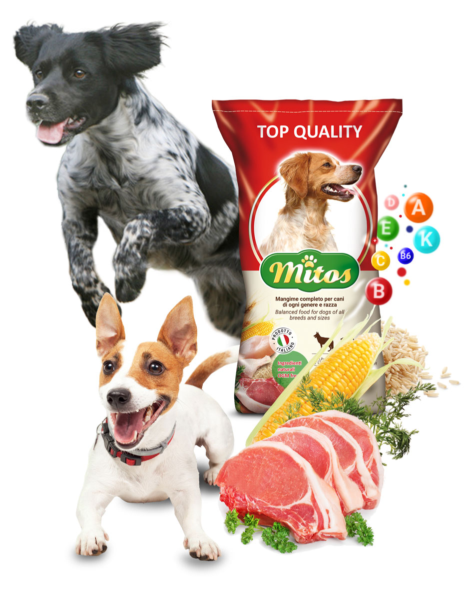 Mito’s Fitness + 28/22 Kg.14 –